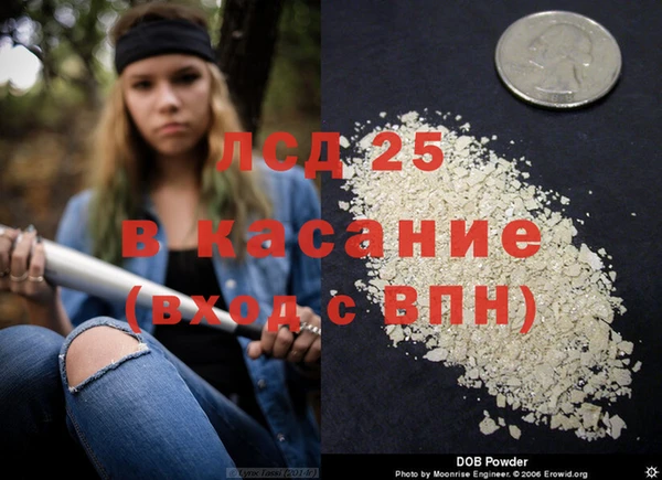 стафф Навашино