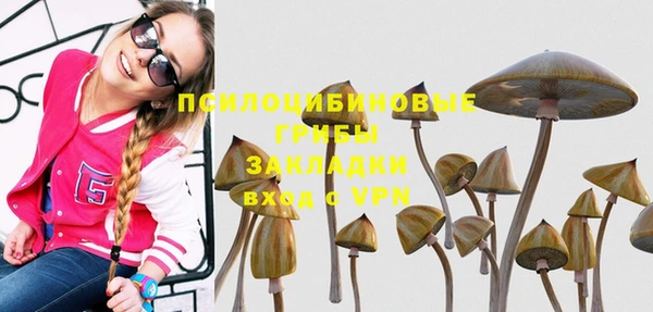 стафф Навашино