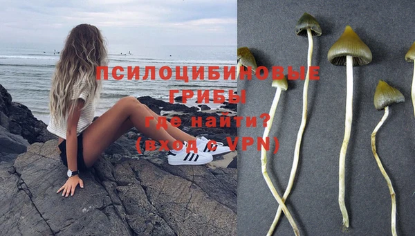 стафф Навашино