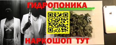 альфа пвп Волгодонск