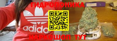 альфа пвп Волгодонск