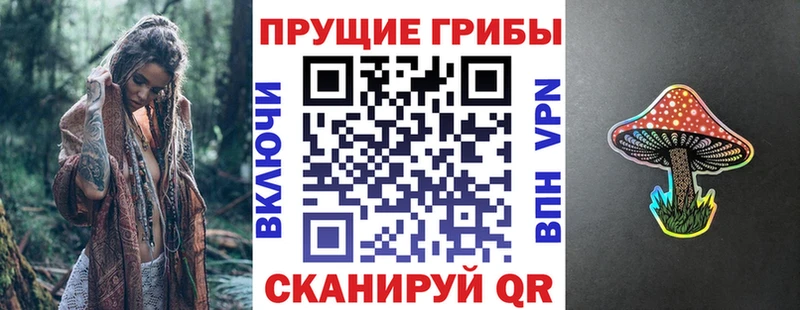 купить наркотики сайты  Новотроицк  Псилоцибиновые грибы мухоморы 