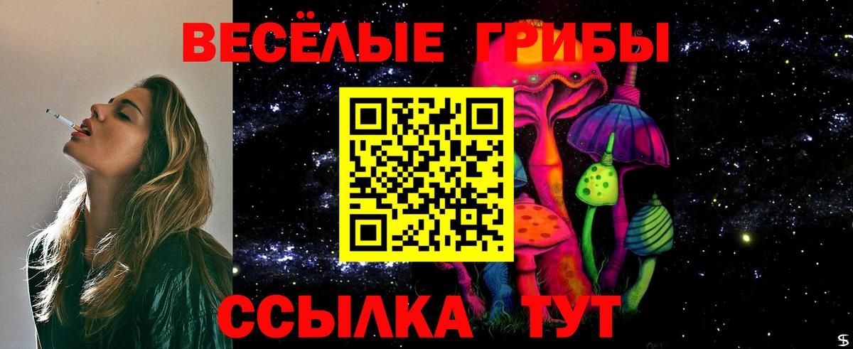 Псилоцибиновые грибы Новотроицк