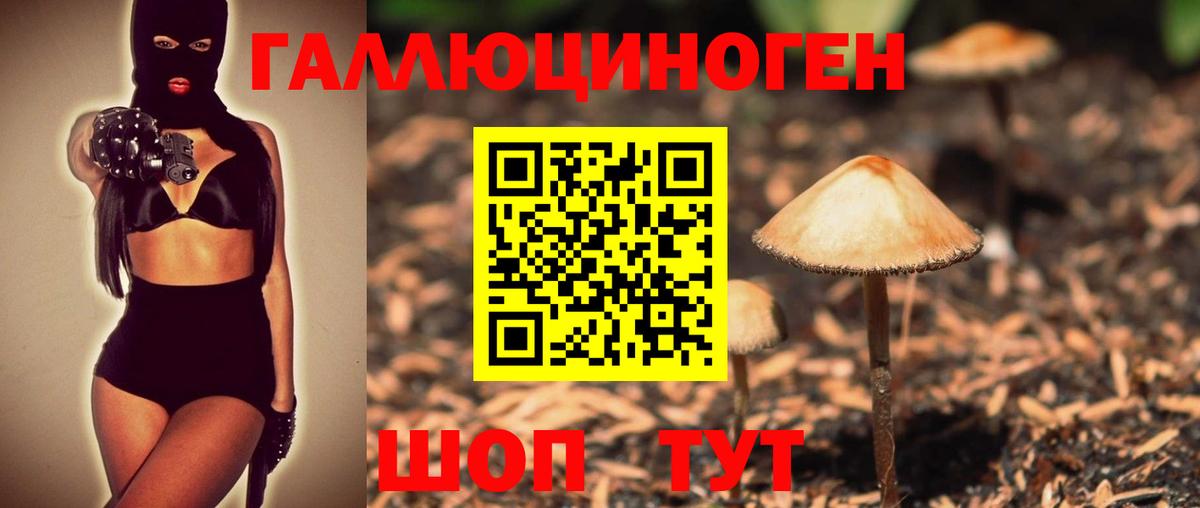 Галлюциногенные грибы MAGIC MUSHROOMS  Вход с VPN  Галлюциногенные грибы прущие грибы  купить наркотик  Новотроицк 