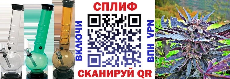 Бошки Шишки White Widow  наркота  Новотроицк 